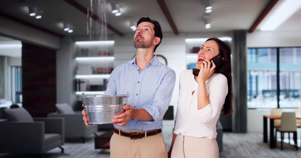 Best Odor Removal and Sanitization After Water Damage in White Oak, OH